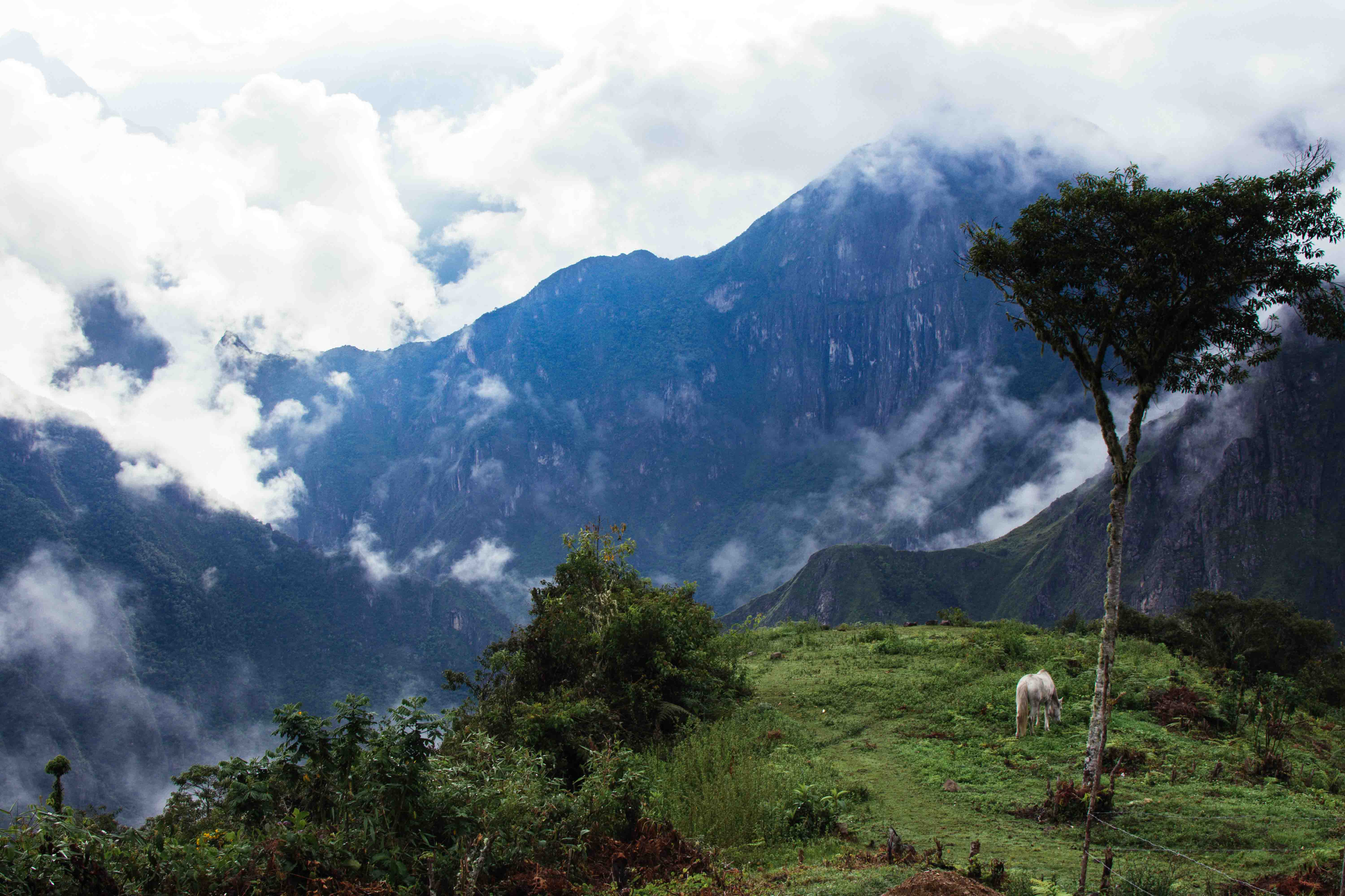 Salkantay Trek, Peru